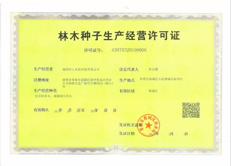 晚熟杂柑新品种绿美人媛小春柑橘苗批发指南